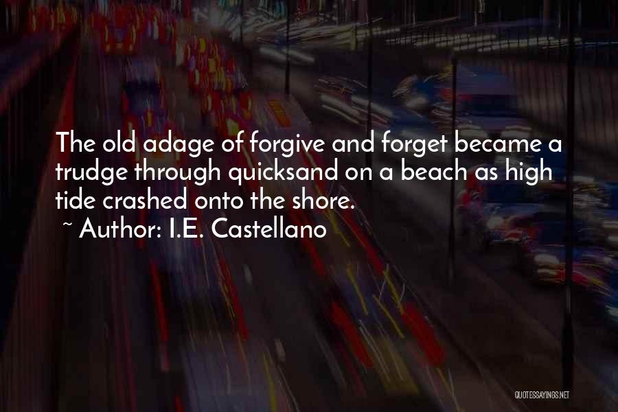 Forget And Forgive Quotes By I.E. Castellano