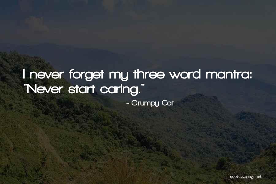 Forget And Start Over Quotes By Grumpy Cat Forget And Start Over Quotes By Grumpy Cat
