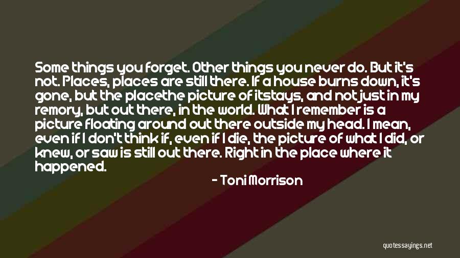 Forget It Picture Quotes By Toni Morrison Forget It Picture Quotes By Toni Morrison