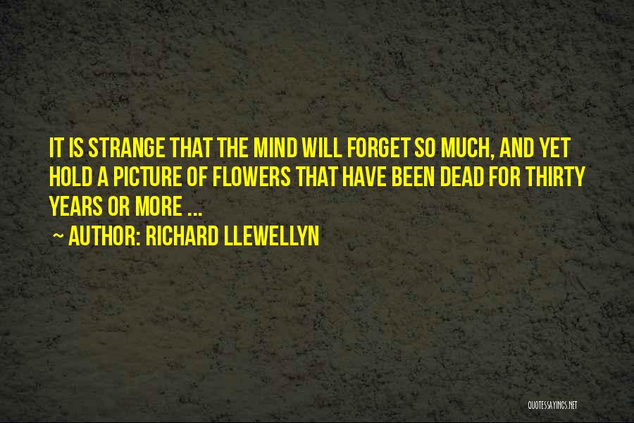Forget Me Picture Quotes By Richard Llewellyn