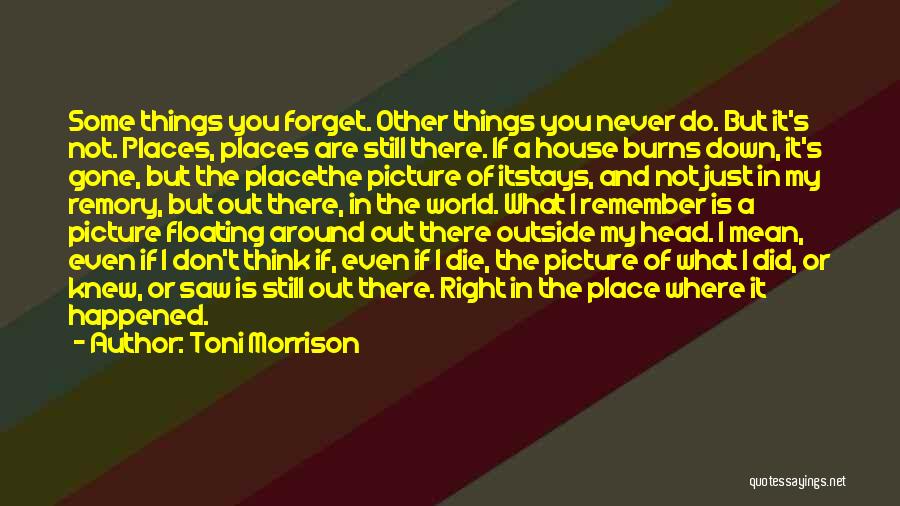 Forget Me Picture Quotes By Toni Morrison