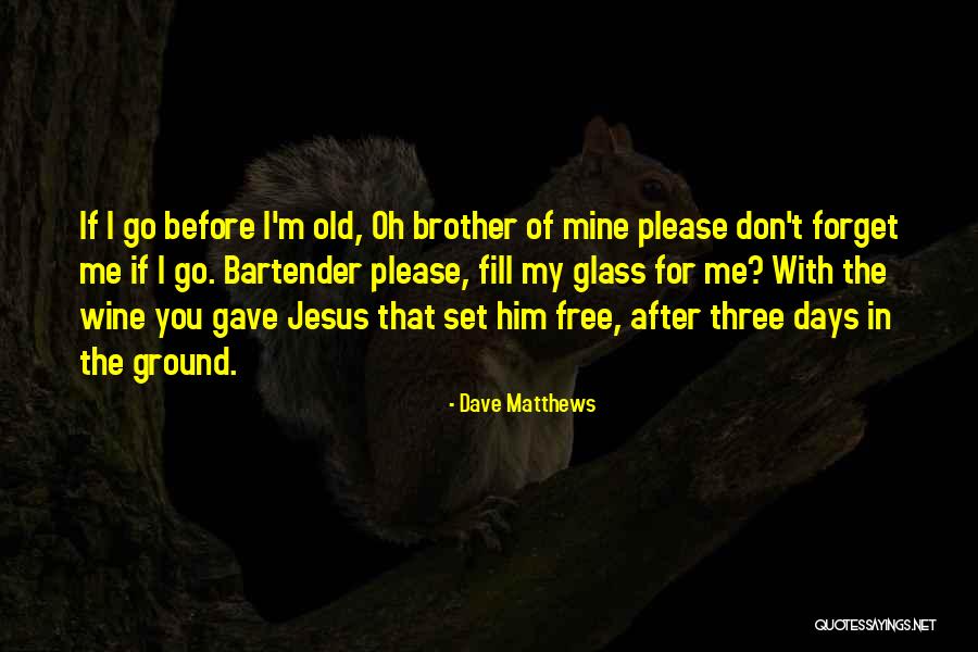 Forget Me Please Quotes By Dave Matthews Forget Me Please Quotes By Dave Matthews