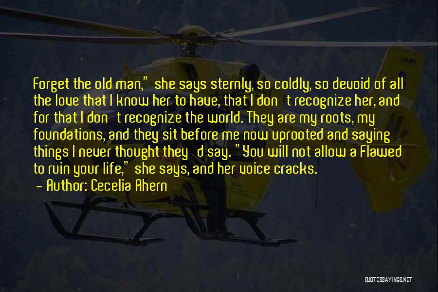 Forget Old Things Quotes By Cecelia Ahern