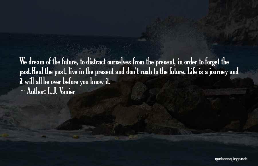 Forget The Past Future Quotes By L.J. Vanier