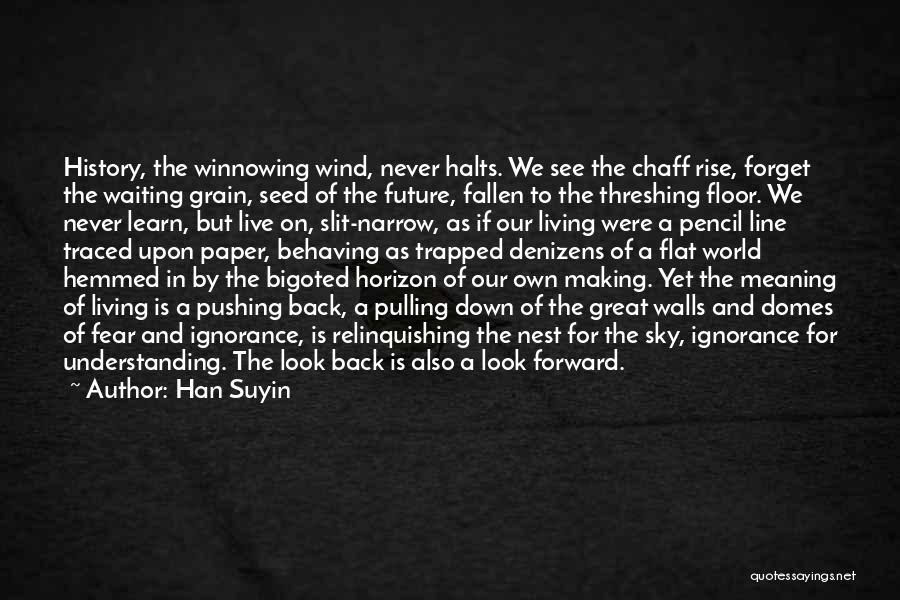 Forget The Past Look At The Future Quotes By Han Suyin