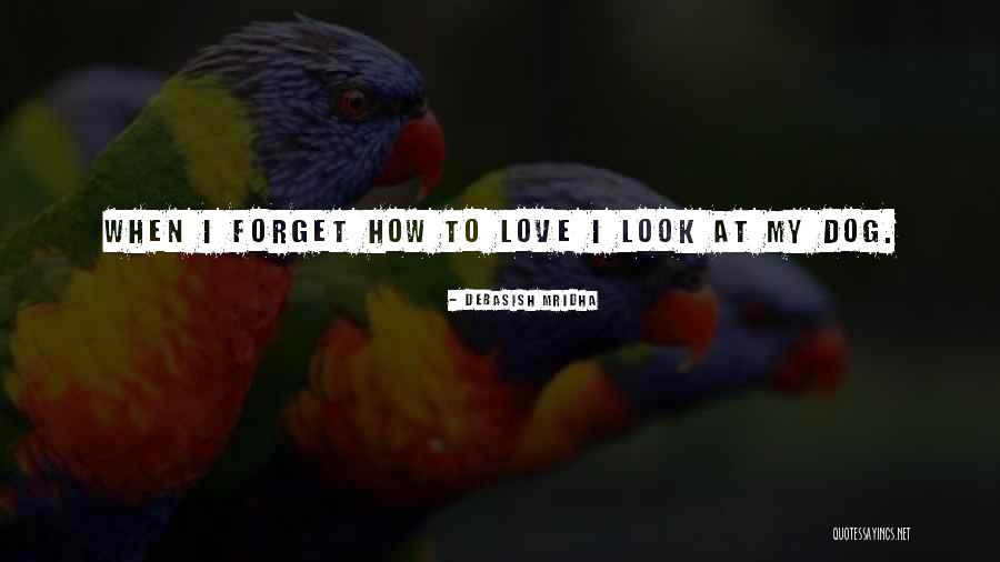 Forget The Past Quotes Quotes By Debasish Mridha Forget The Past Quotes Quotes By Debasish Mridha