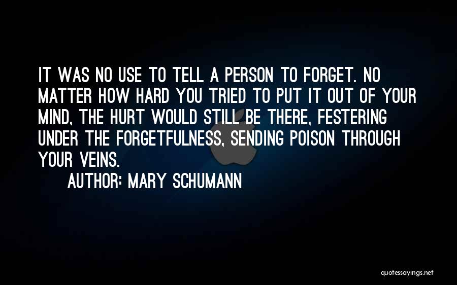 Forget The Person Who Hurt You Quotes By Mary Schumann