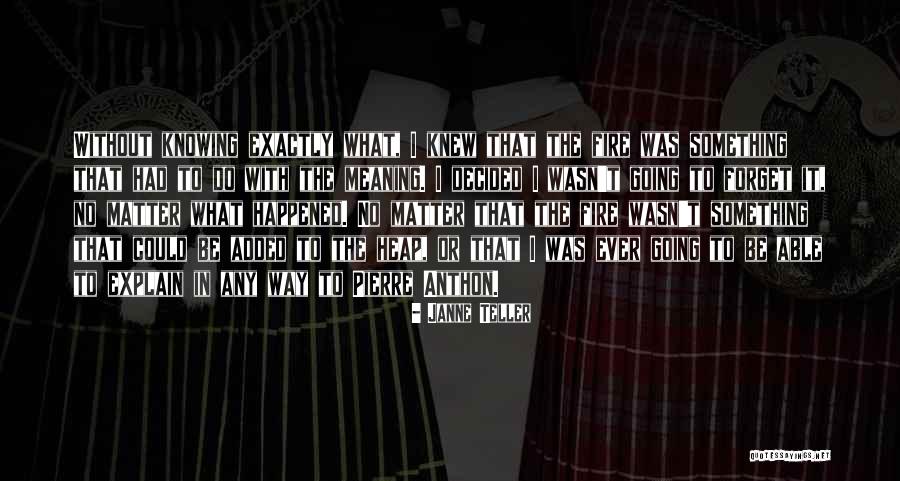 Forget What Happened Quotes By Janne Teller Forget What Happened Quotes By Janne Teller