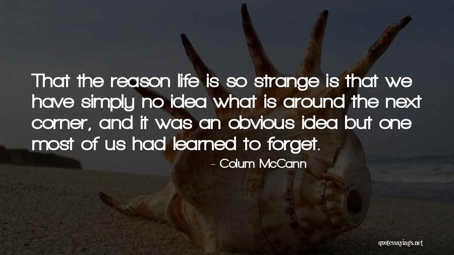 Forget What We Had Quotes By Colum McCann Forget What We Had Quotes By Colum McCann