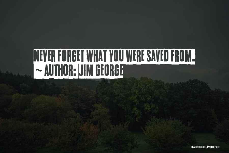 Forget You Never Quotes By Jim George