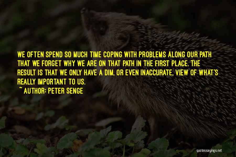 Forget Your Problems Quotes By Peter Senge