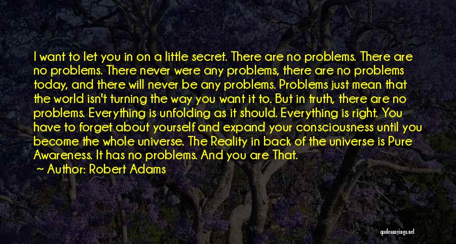 Forget Your Problems Quotes By Robert Adams