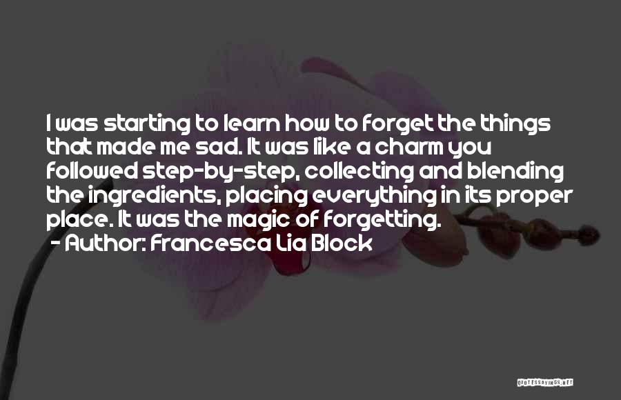 Forget Your Sadness Quotes By Francesca Lia Block