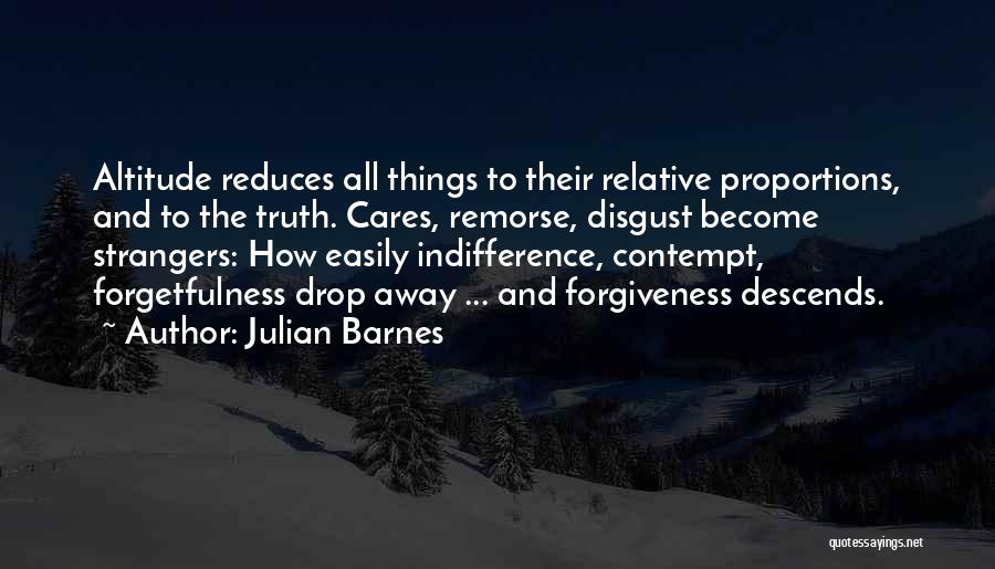 Forgetfulness Quotes By Julian Barnes