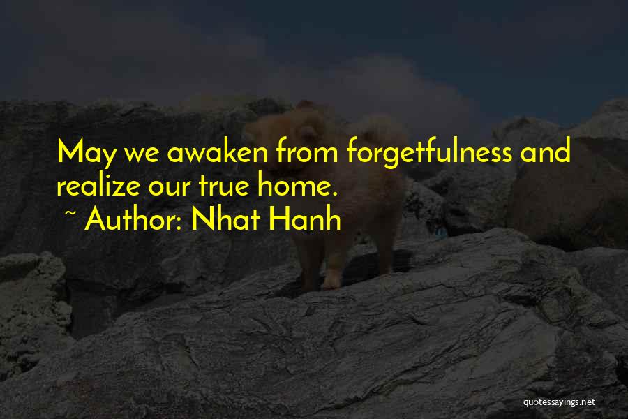Forgetfulness Quotes By Nhat Hanh
