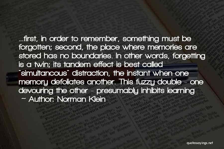 Forgetting History Quotes By Norman Klein