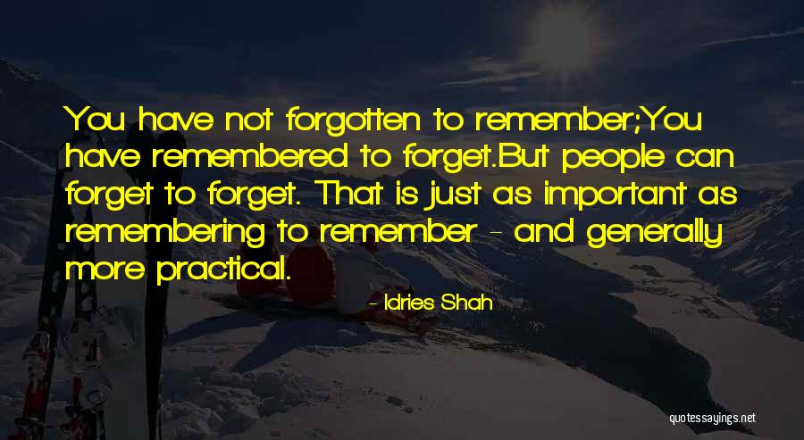 Forgetting Important Things Quotes By Idries Shah