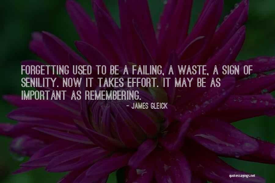 Forgetting Important Things Quotes By James Gleick