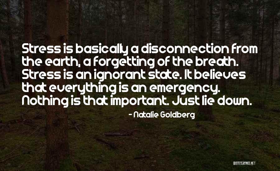 Forgetting Important Things Quotes By Natalie Goldberg