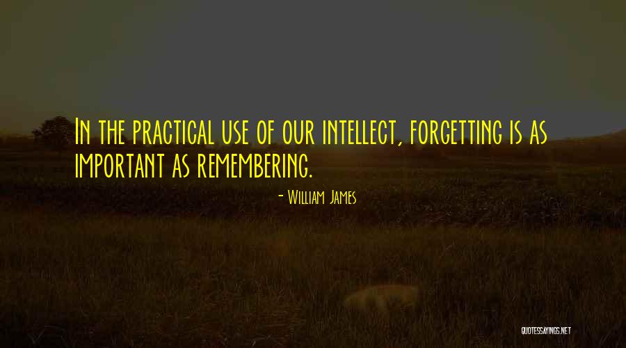 Forgetting Important Things Quotes By William James