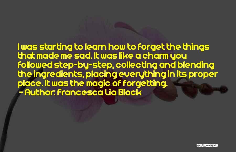 Forgetting Me Quotes By Francesca Lia Block