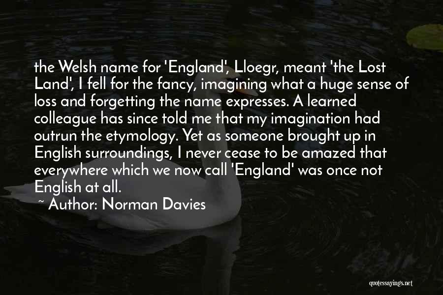 Forgetting Me Quotes By Norman Davies