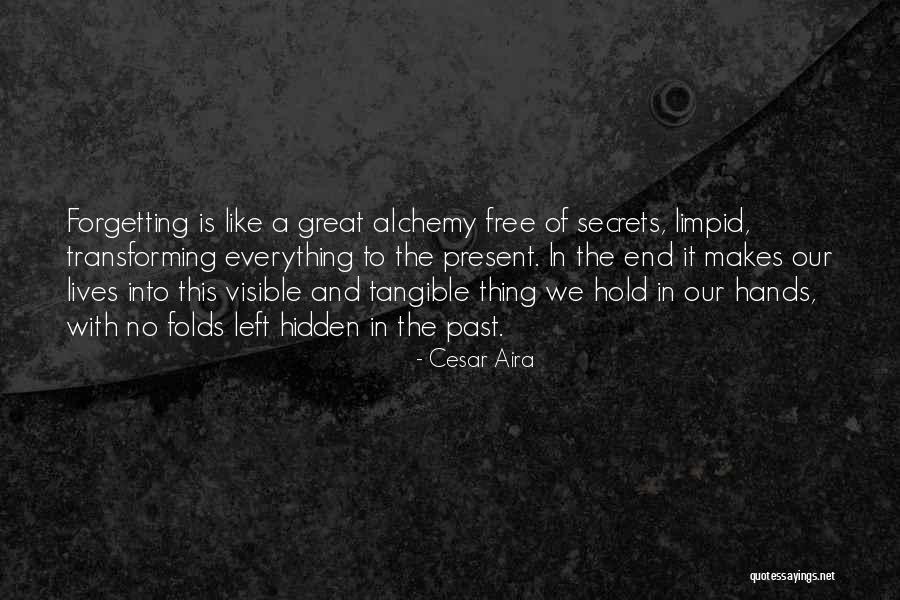 Forgetting Our Past Quotes By Cesar Aira