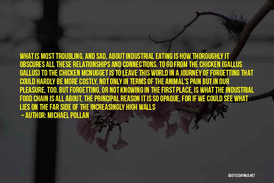 Forgetting Past Relationships Quotes By Michael Pollan