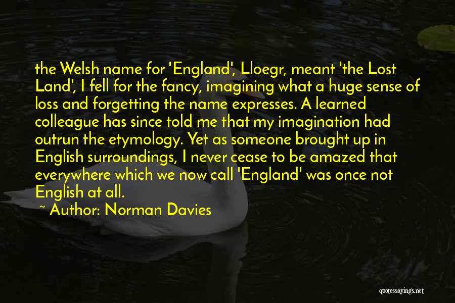 Forgetting Someone Quotes By Norman Davies