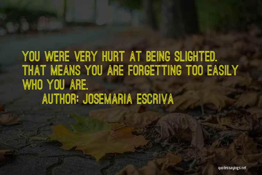 Forgetting Someone That Hurt You Quotes By Josemaria Escriva