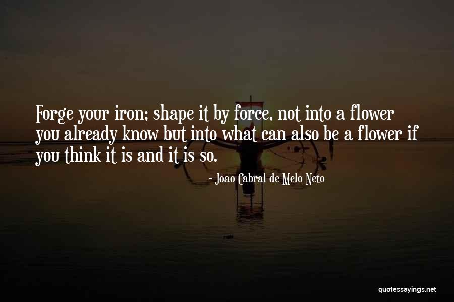 Forging Quotes By Joao Cabral De Melo Neto Forging Quotes By Joao Cabral De Melo Neto
