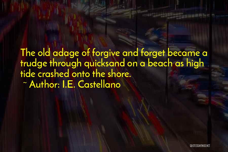 Forgive And Forget Quotes By I.E. Castellano