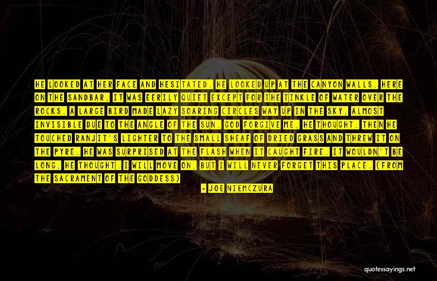 Forgive And Move On Quotes By Joe Niemczura Forgive And Move On Quotes By Joe Niemczura