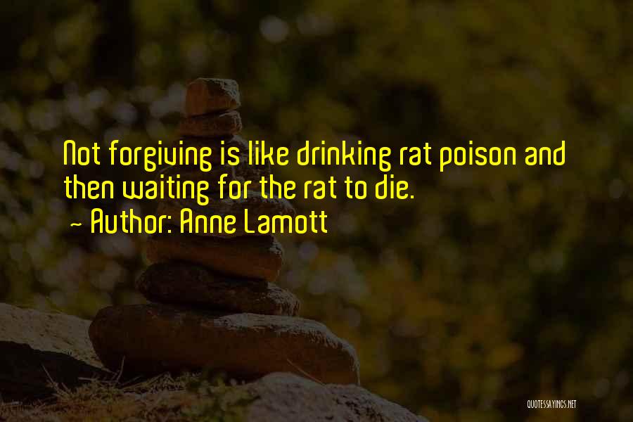 Forgiveness And Revenge Quotes By Anne Lamott