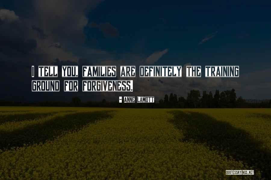 Forgiveness Family Quotes By Anne Lamott Forgiveness Family Quotes By Anne Lamott