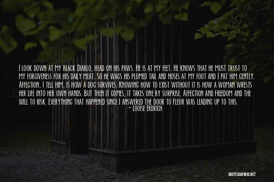 Forgiveness Freedom Quotes By Louise Erdrich Forgiveness Freedom Quotes By Louise Erdrich