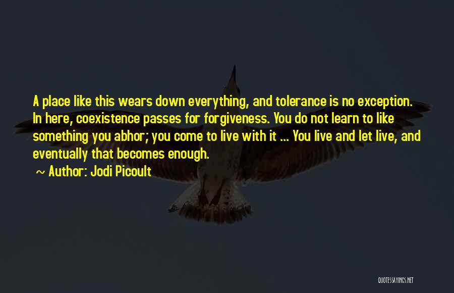 Forgiveness Is For You Quotes By Jodi Picoult