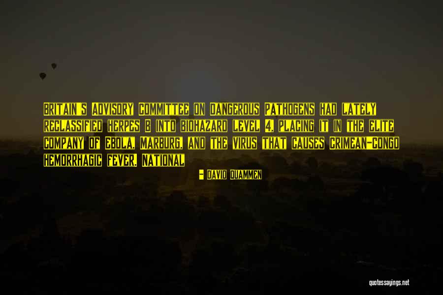 Forgiveness Martin Luther King Quotes By David Quammen Forgiveness Martin Luther King Quotes By David Quammen