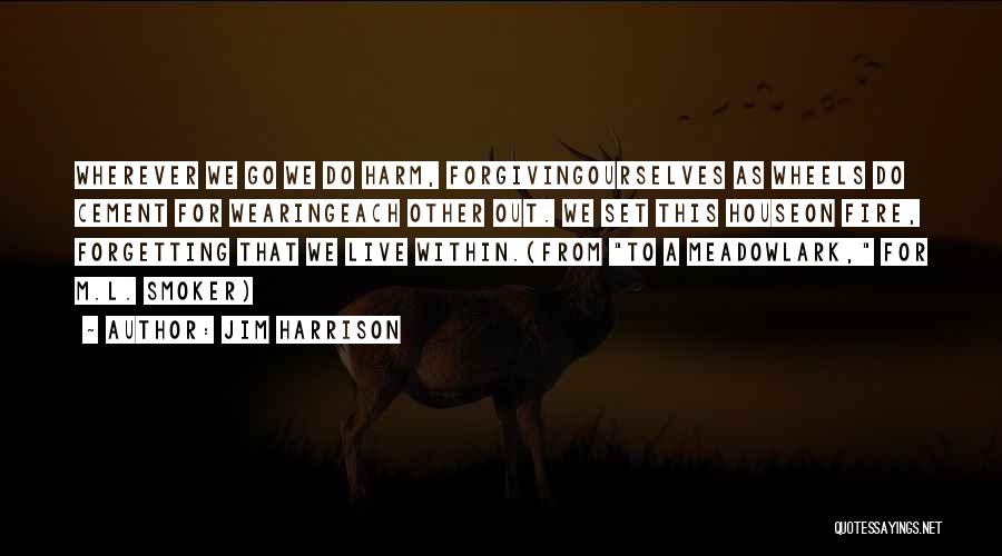 Forgiving Yourself And Others Quotes By Jim Harrison