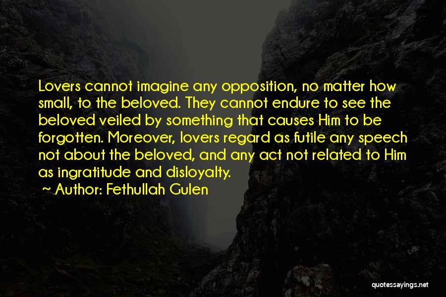 Forgotten Lovers Quotes By Fethullah Gulen