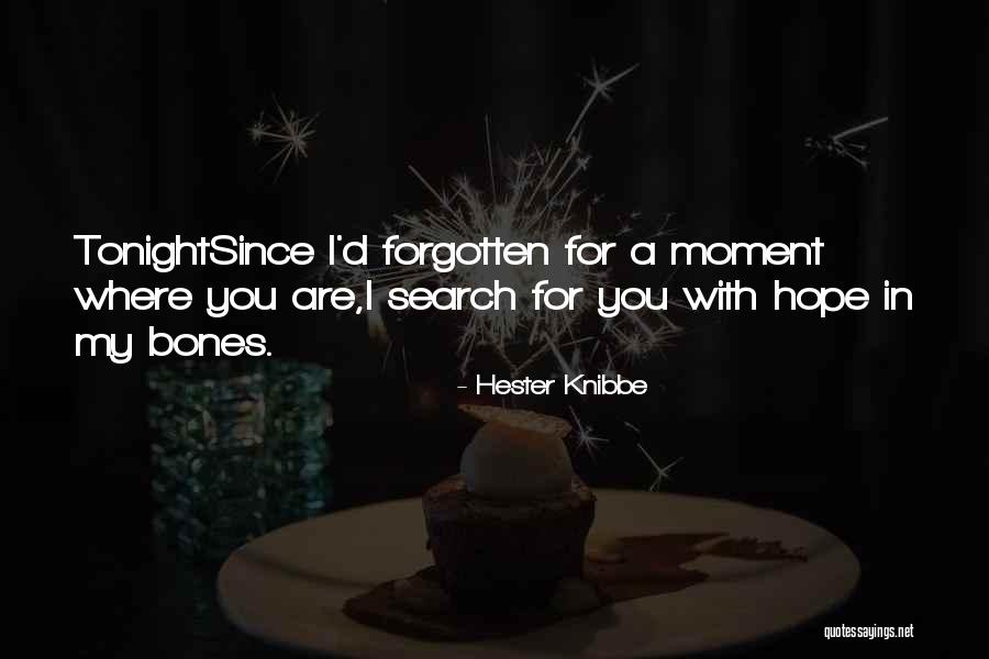 Forgotten My Love Quotes By Hester Knibbe