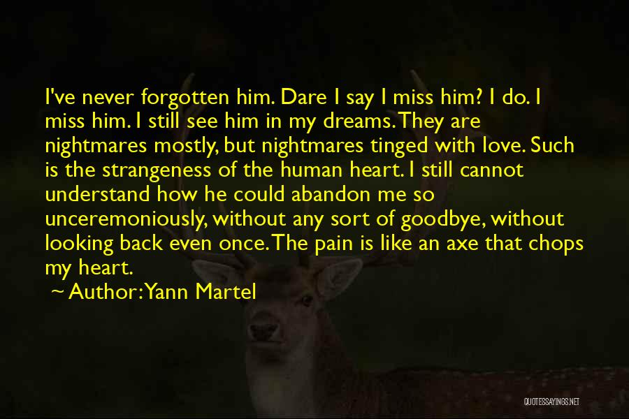 Forgotten My Love Quotes By Yann Martel