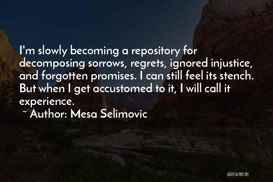 Forgotten Promises Quotes By Mesa Selimovic