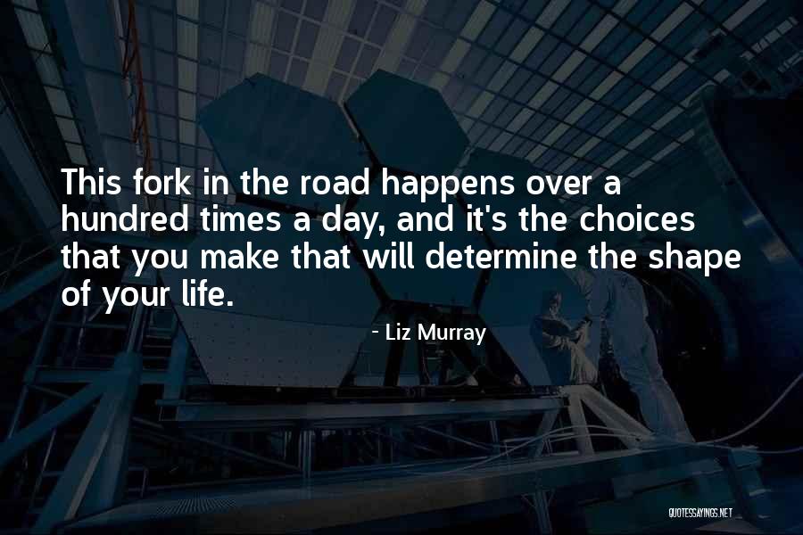 Fork In Road Quotes By Liz Murray Fork In Road Quotes By Liz Murray