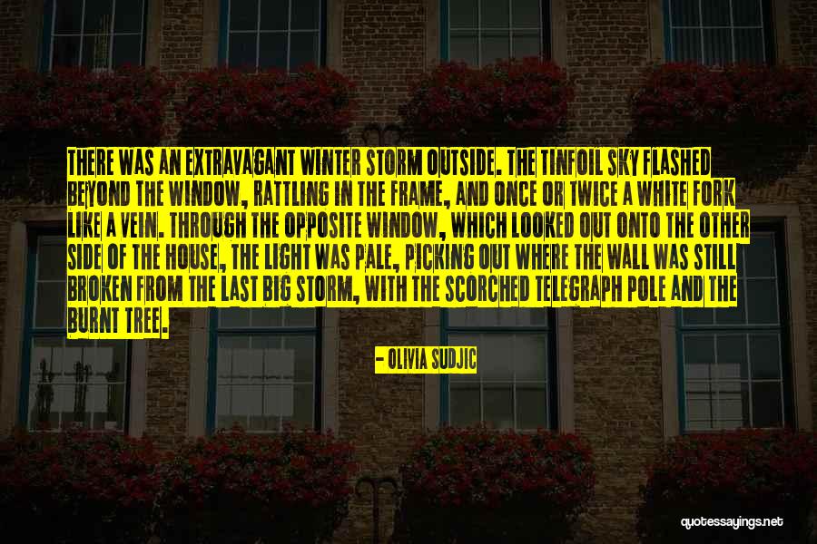 Fork Out Quotes By Olivia Sudjic Fork Out Quotes By Olivia Sudjic