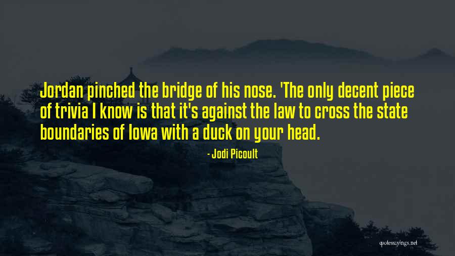 Forkball Baseball Quotes By Jodi Picoult Forkball Baseball Quotes By Jodi Picoult