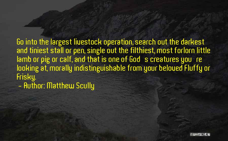 Forlorn Quotes By Matthew Scully