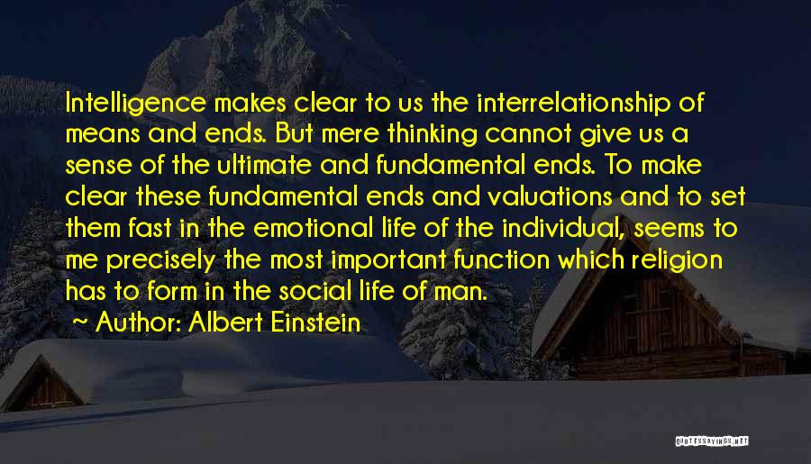 Form And Function Quotes By Albert Einstein