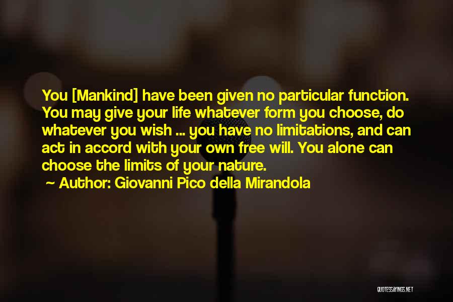 Form And Function Quotes By Giovanni Pico Della Mirandola