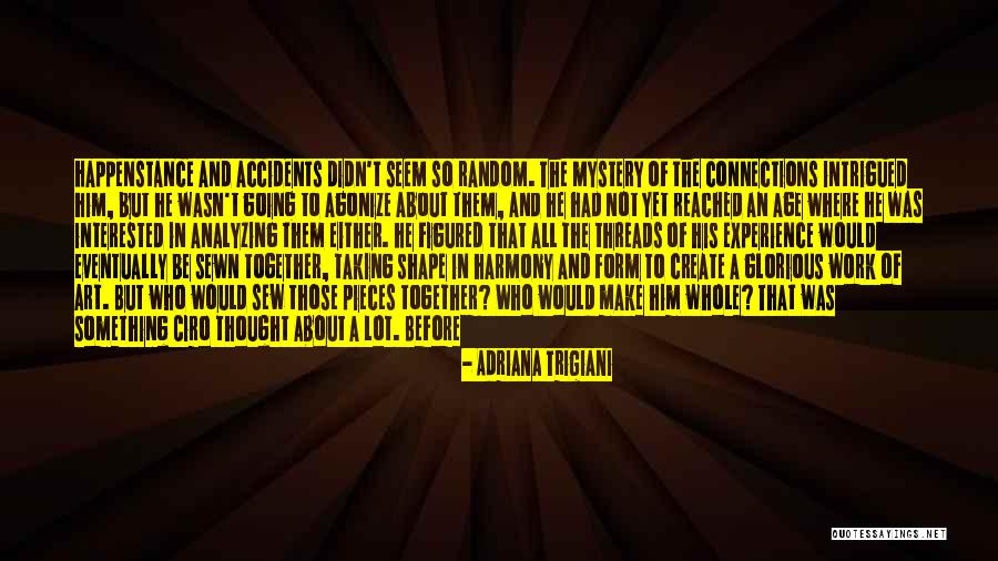 Form Of Art Quotes By Adriana Trigiani Form Of Art Quotes By Adriana Trigiani